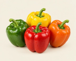 Capsicum