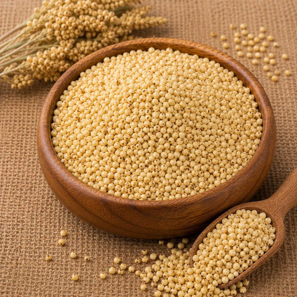 Yellow Sorghum / Jonnalu