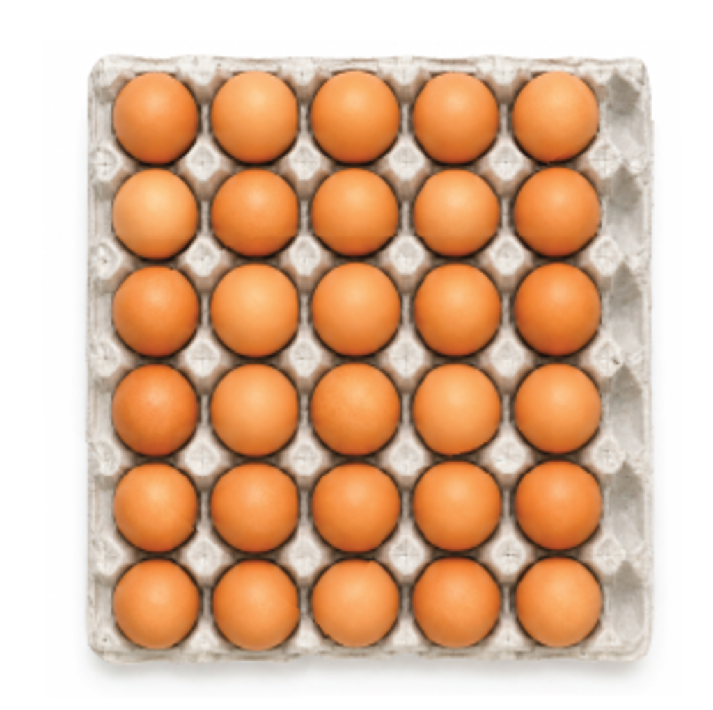 Brown Eggs