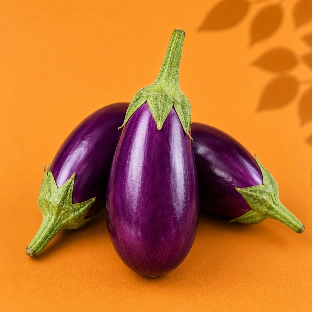 Purple Brinjal
