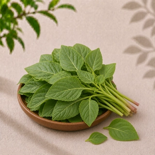 Thotakura / Amaranthus