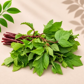 Gongura / Sorrel Leaves