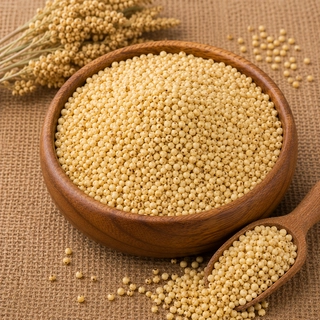 Yellow Sorghum / Jonnalu