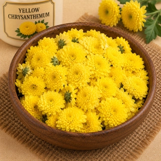 Yellow Chrysanthemum