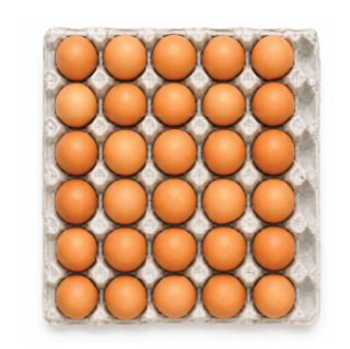 Brown Eggs