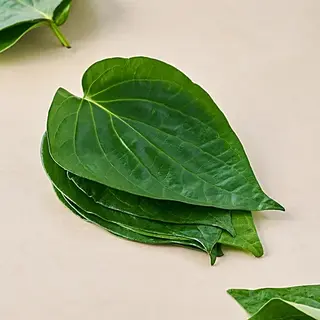 Tamalapaku