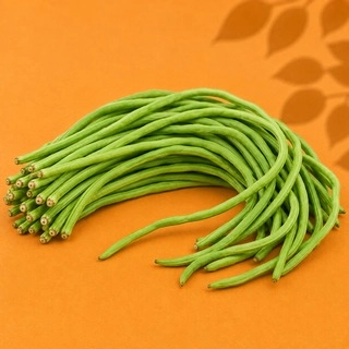 Cowpea / Lobia
