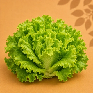 Green Lettuce