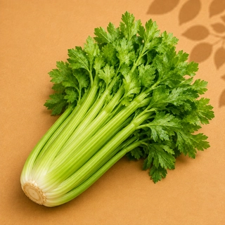Celery