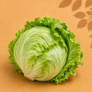Iceberg Lettuce