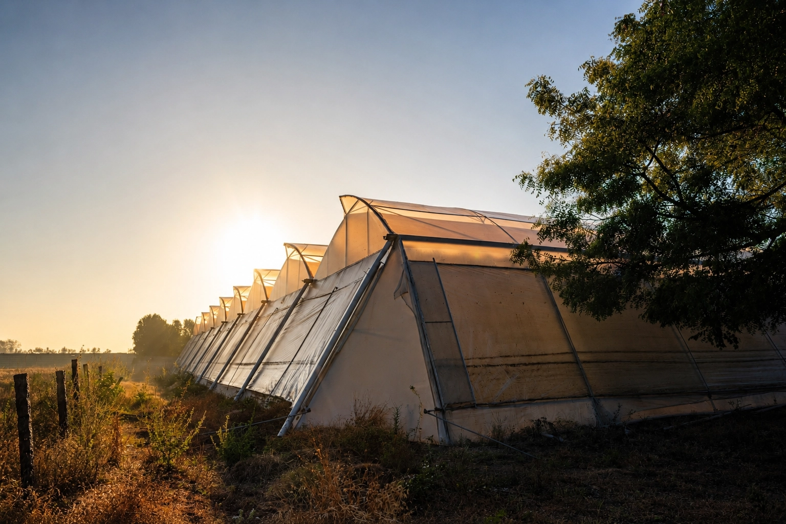 Greenhouse