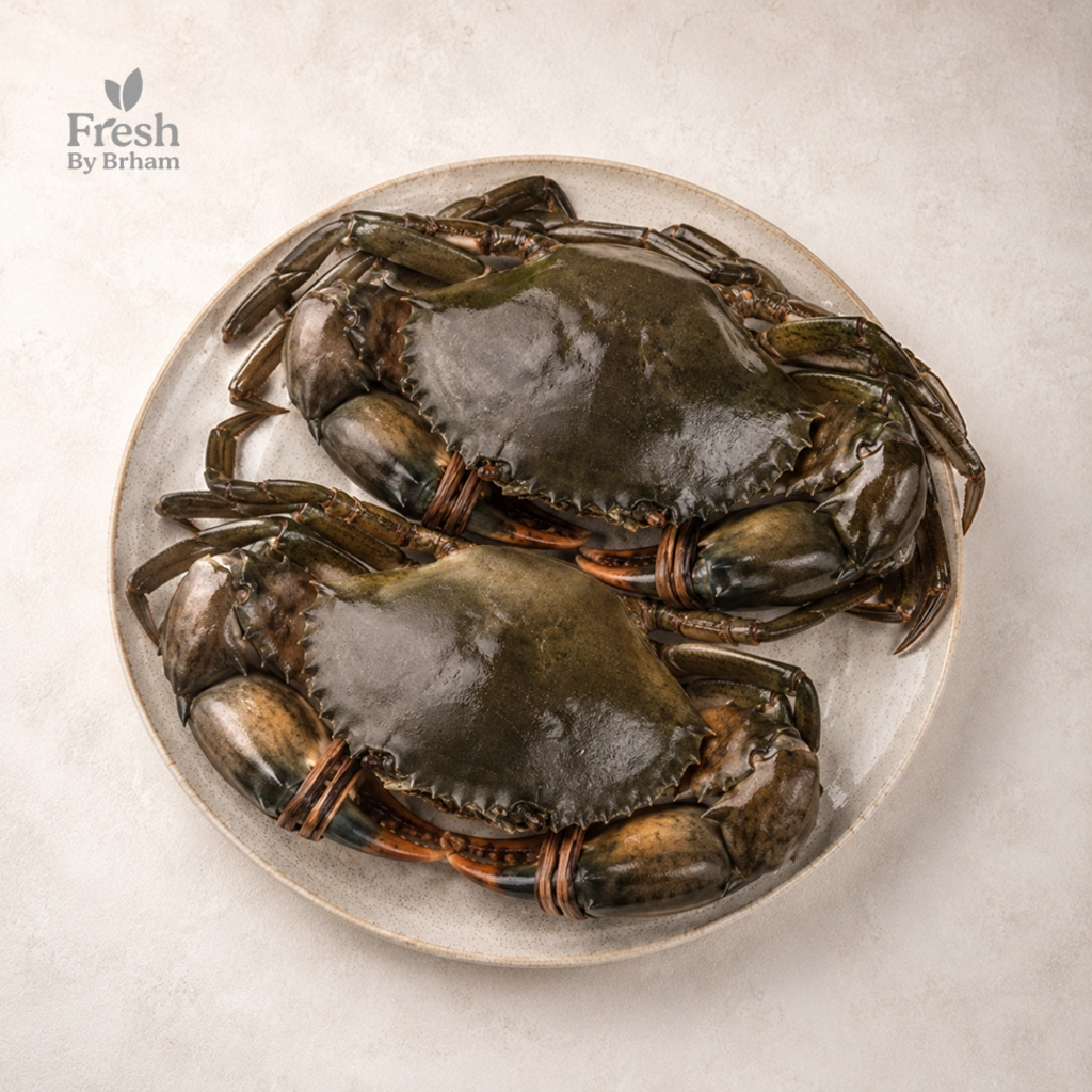 Mud Crabs – Whole  Jumbo