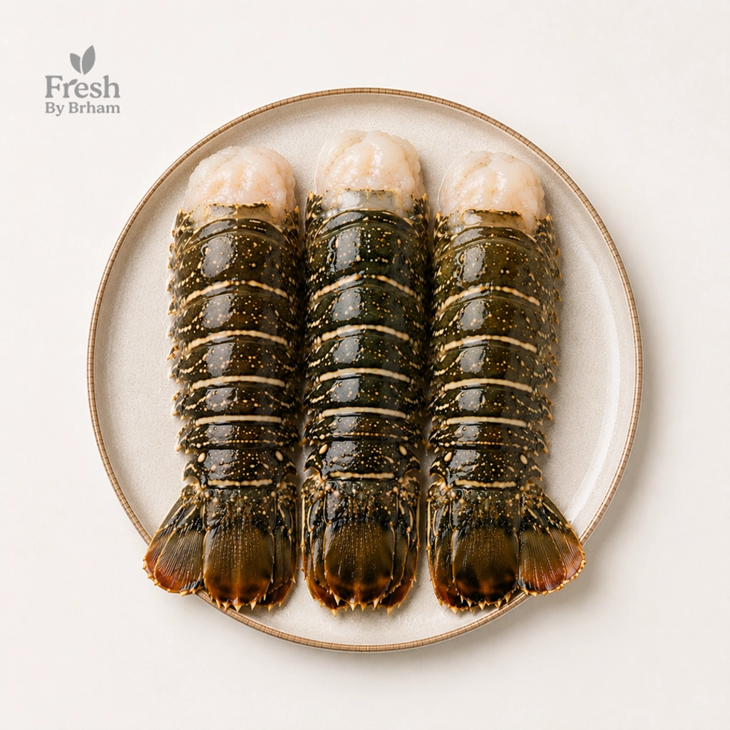 Rock Lobsters – Whole Extra Large