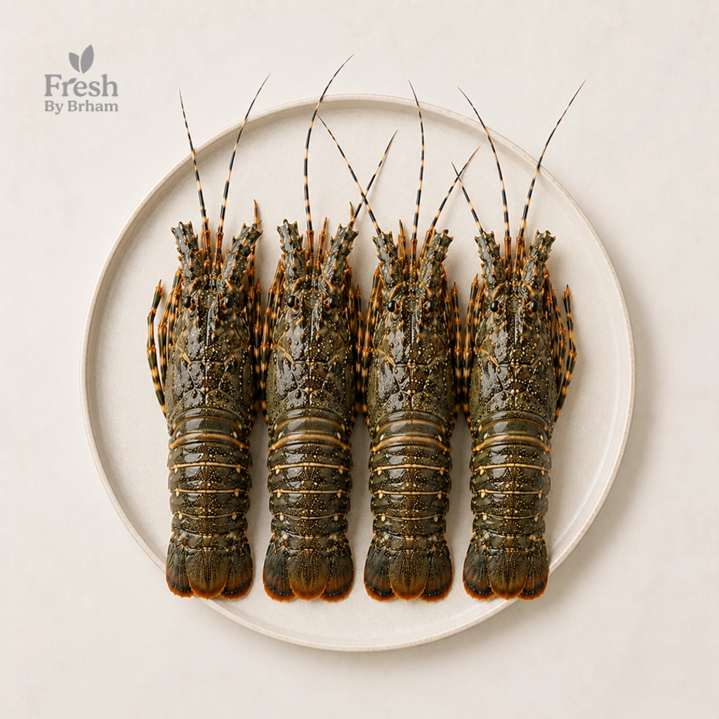 Rock Lobsters – Whole Regular