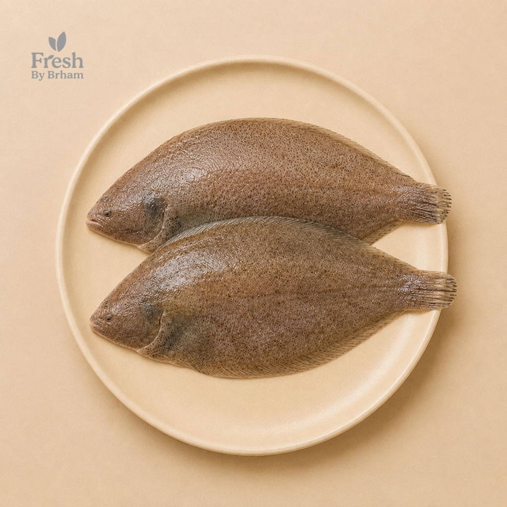 Indian Sole Fish