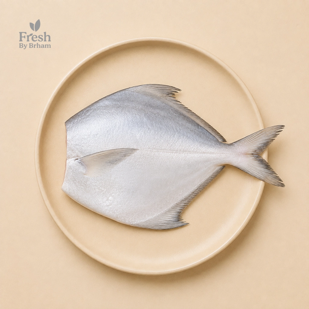 Pomfret – Whole Fish – Super Jumbo