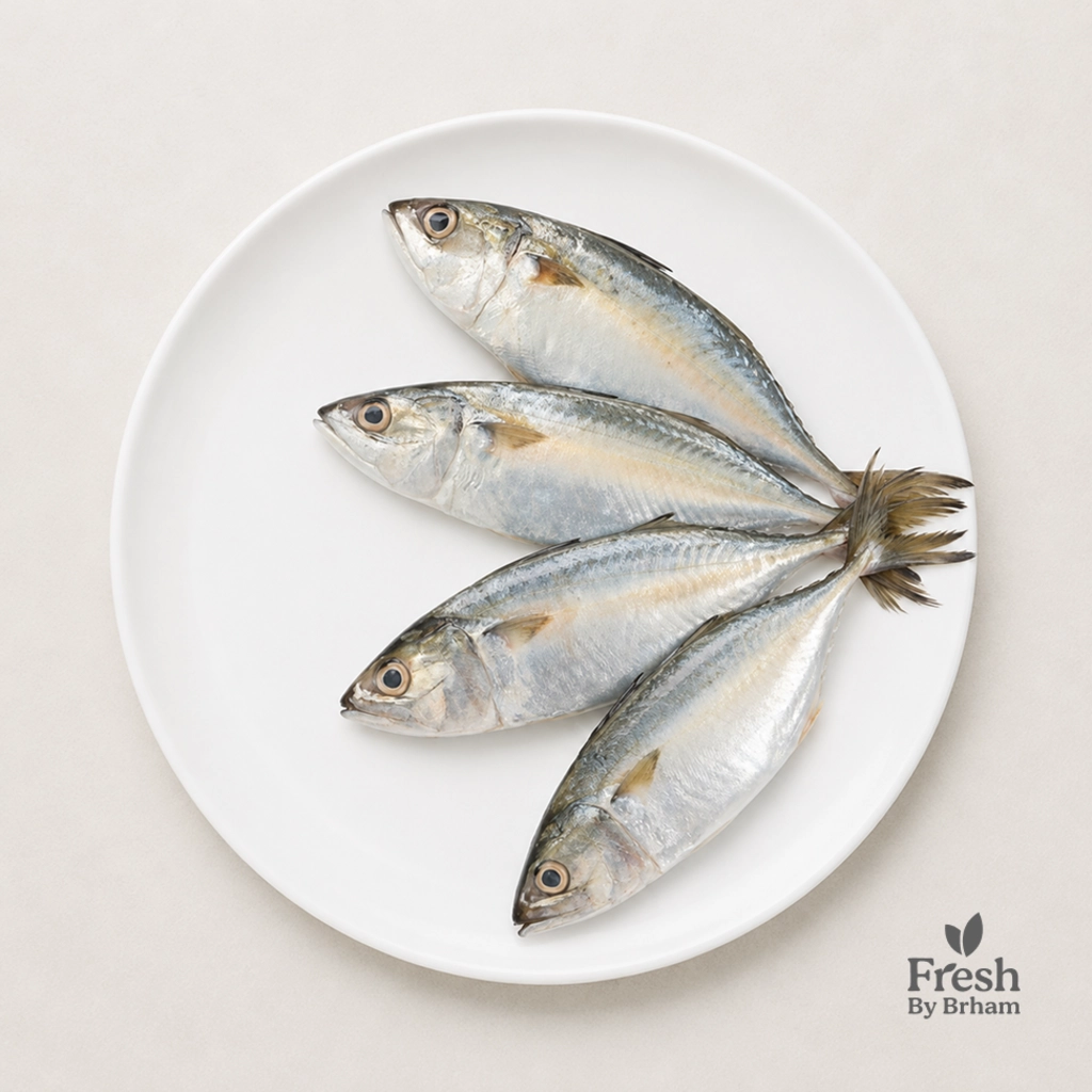 Mackerel / Bangda