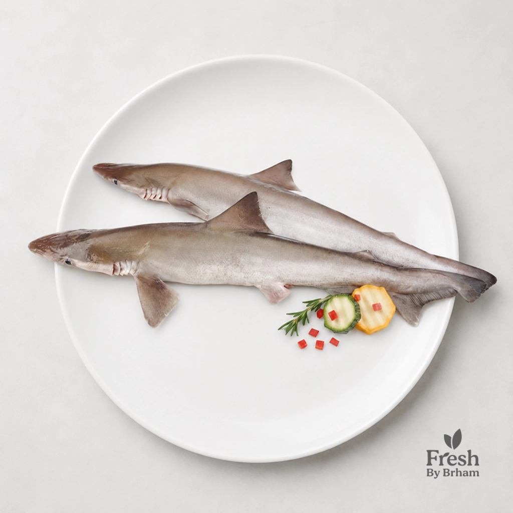 Shark Whole