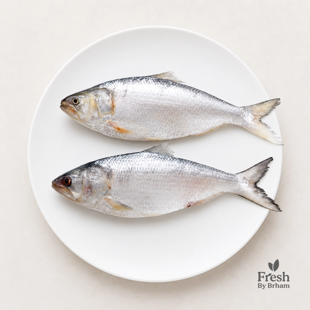 Hilsa Whole