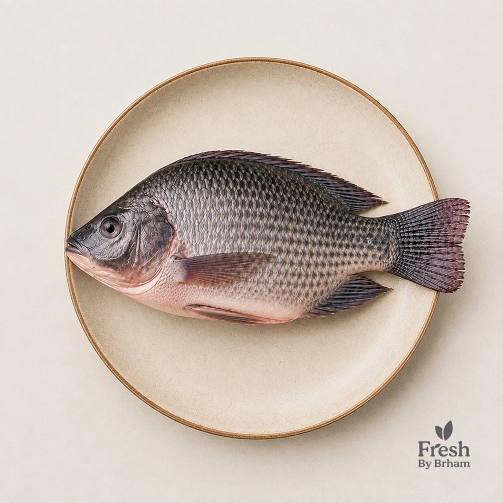 Tilapia Whole