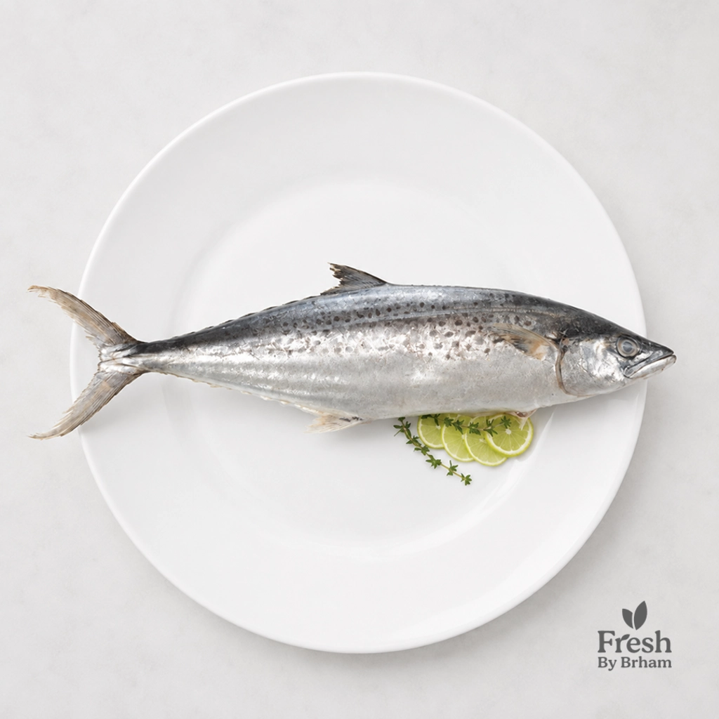 Surmai / Seer Fish