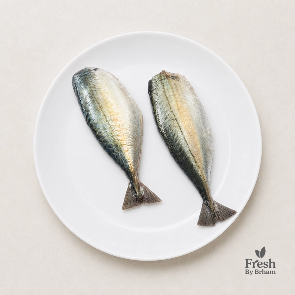 Mackerel/Bangda Headless