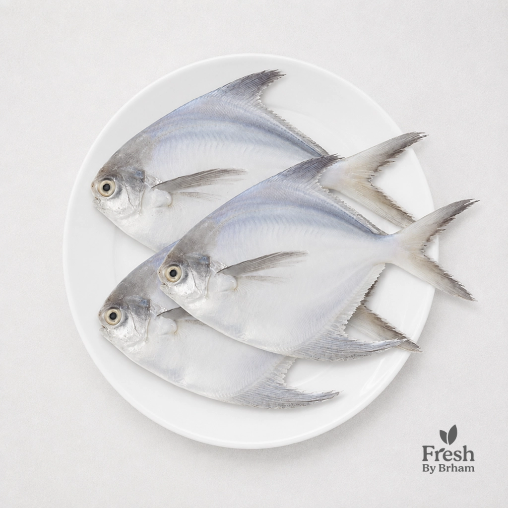 Pomfret