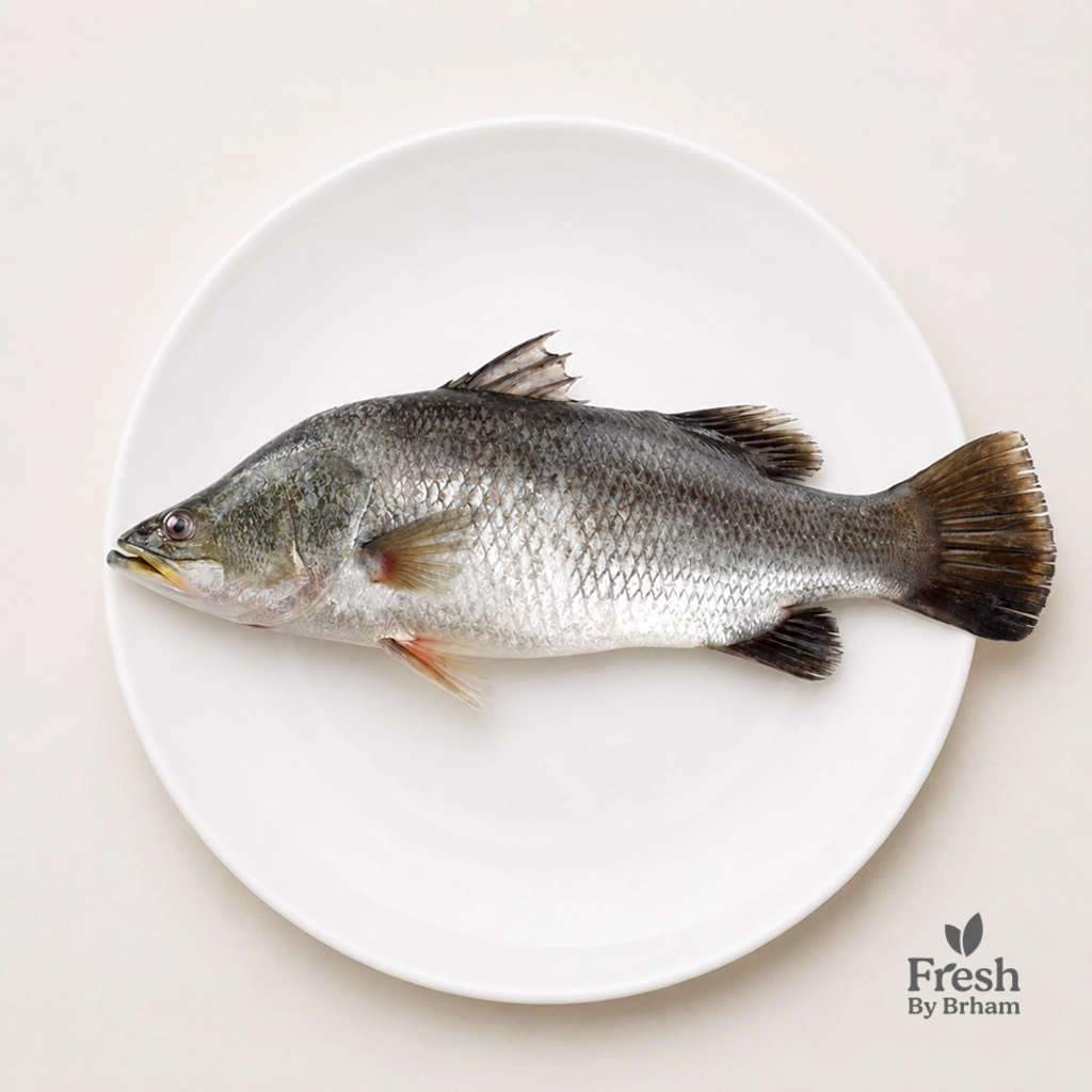Asian Sea Bass