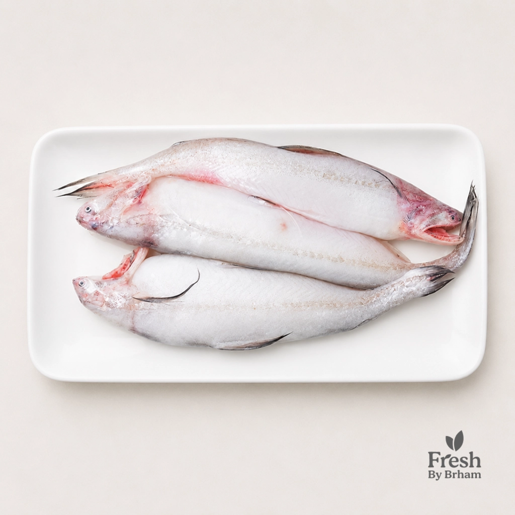 Bombay Duck/Bombil
