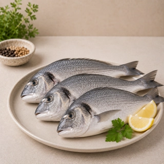 Fish