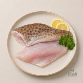 Ekru/Grouper Fillets
