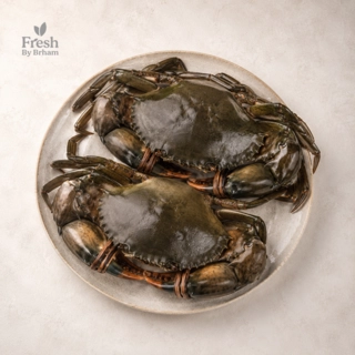 Mud Crabs – Whole Jumbo