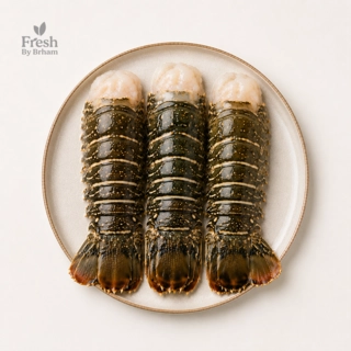 Rock Lobsters – Whole Extra Large