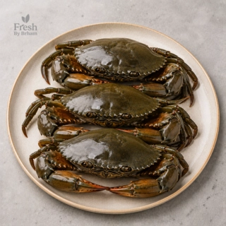 Mud Crabs – Whole Medium