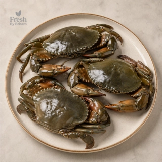 Mud Crabs – Whole Large