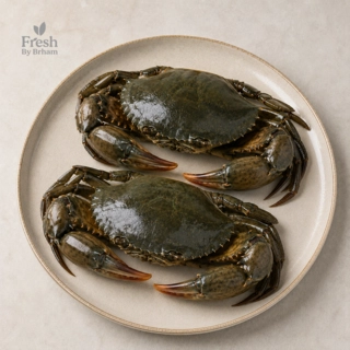 Mud Crabs – Whole Large