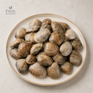 Clams