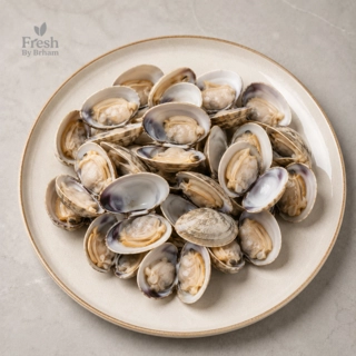 Clams – Whole (In Shell)