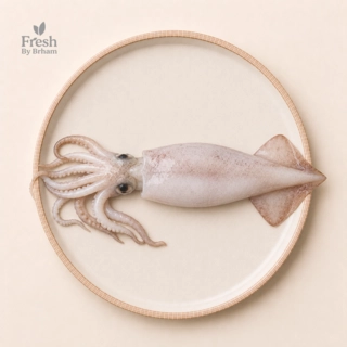 Squid Whole