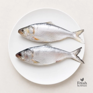 Hilsa