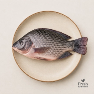 Tilapia