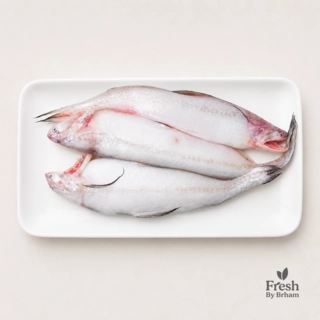 Bombay Duck / Bombil