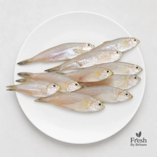 Whitebait / Modka Whole