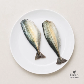 Mackerel/Bangda Headless