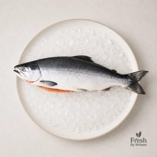 Pink Salmon