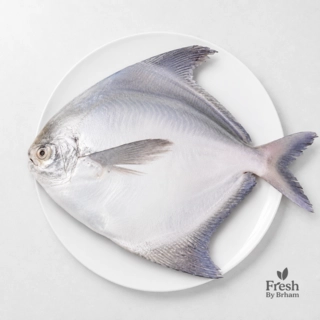 Pomfret – Whole Fish – Super Jumbo
