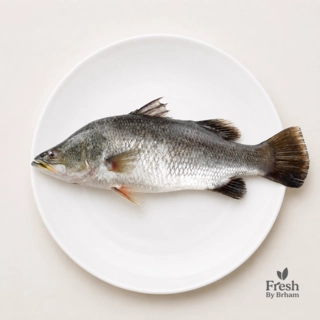 Asian Sea Bass