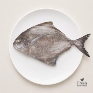 Black Pomfret Whole