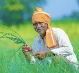 Farmer