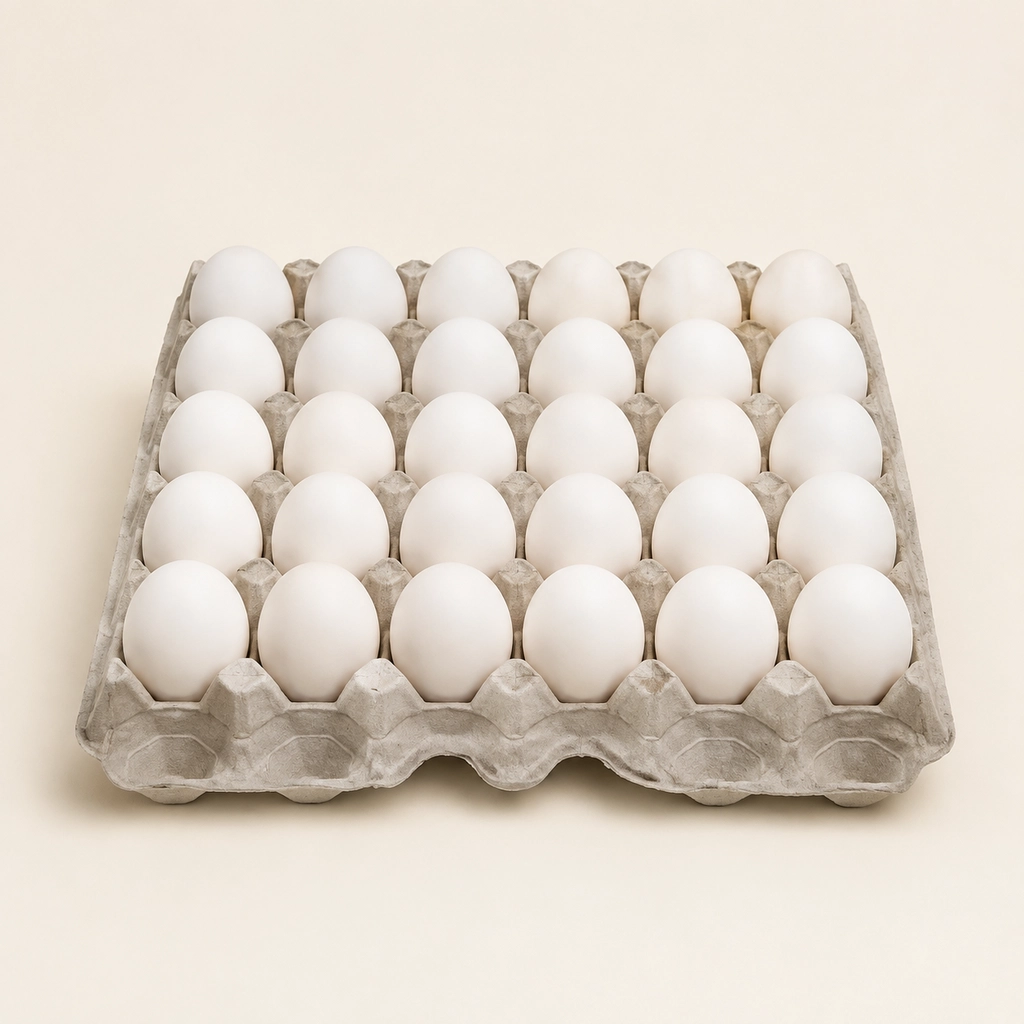 White Eggs